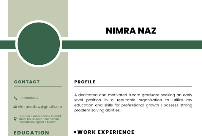 create an ats friendly professional resume and CV